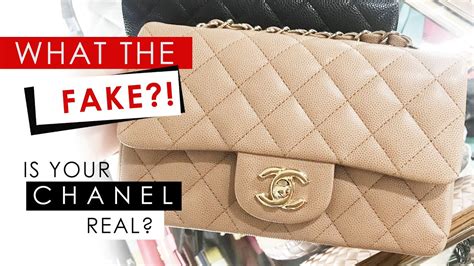 shopbop fake bags|superfake handbags real.